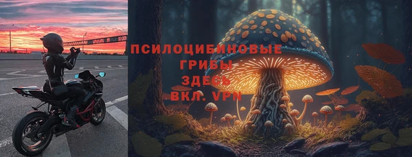 тгк Баксан
