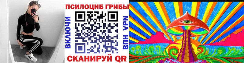 Псилоцибиновые грибы Psilocybine cubensis  Поворино 